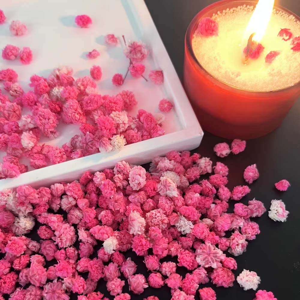 1Box Flower Mix for Crafts Can - Resin Art Earrings Design recension och pris